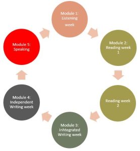 a diagram showing the stages of the reading and writing cycle.