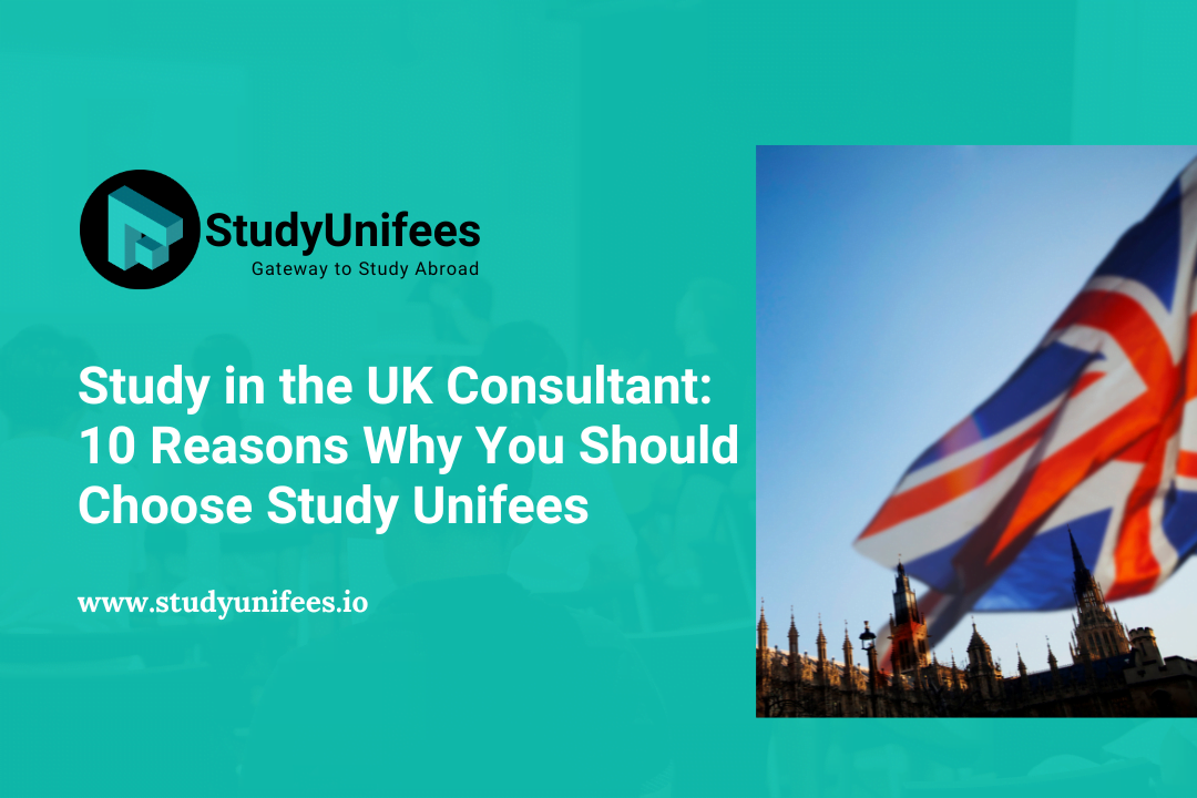 Study in the UK Consultant