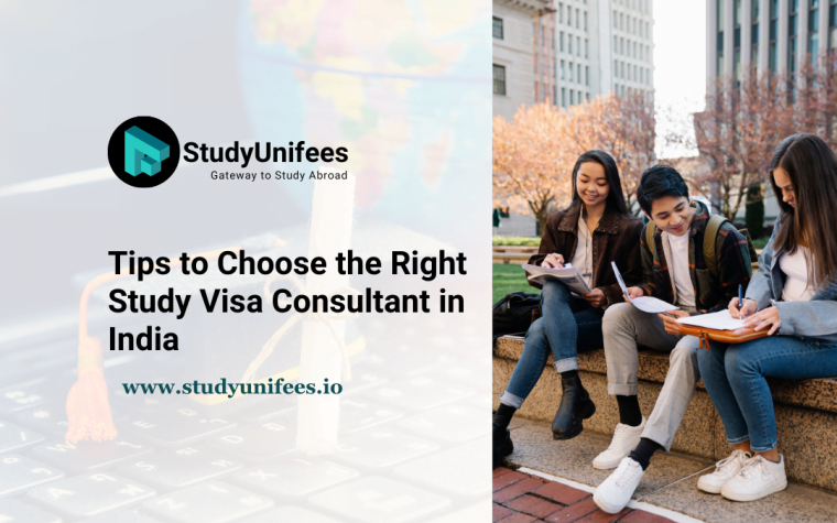 study visa consultants