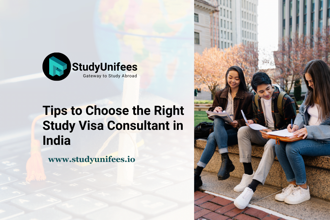 study visa consultants