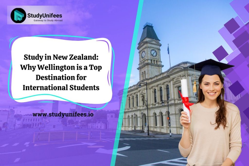 study in new zealand